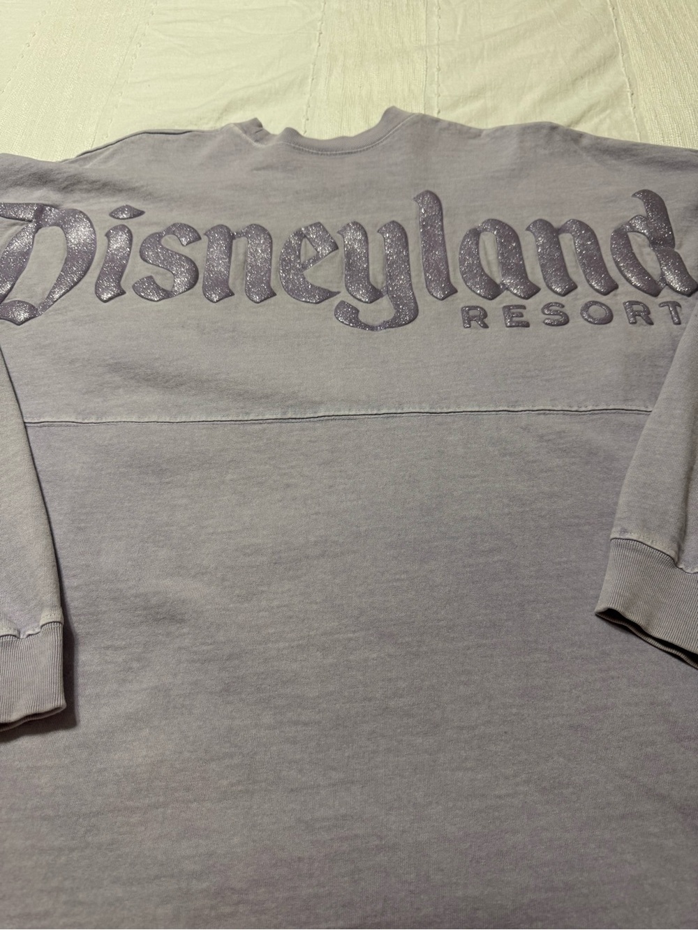 Disney Spirit Jersey Lavender Crewneck Pullover good condition pet & smoke free.